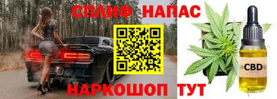 бошки Камышлов