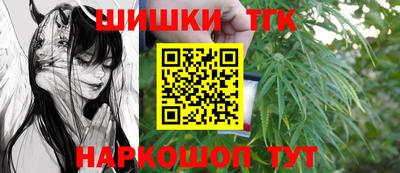 бошки Камышлов