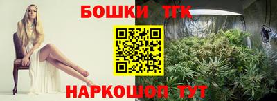 apvp Канаш